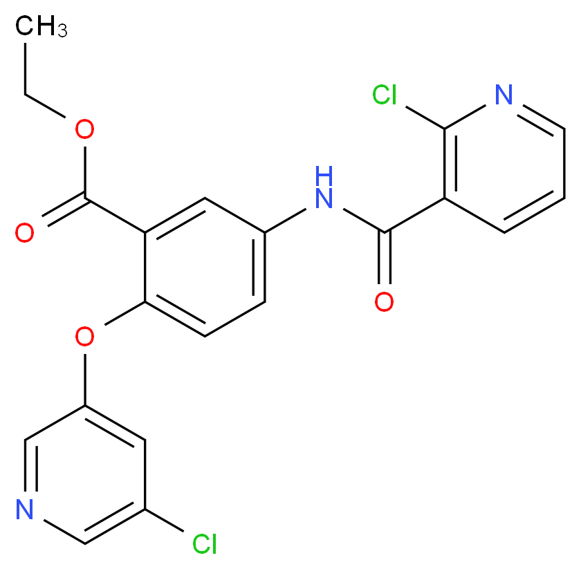 CAS_ 分子结构