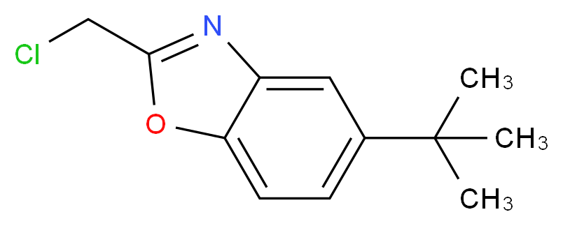 5-tert-butyl-2-(chloromethyl)-1,3-benzoxazole_分子结构_CAS_1119449-45-4