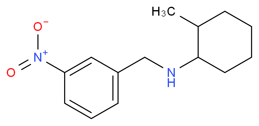 2-methyl-N-[(3-nitrophenyl)methyl]cyclohexan-1-amine_分子结构_CAS_355816-37-4