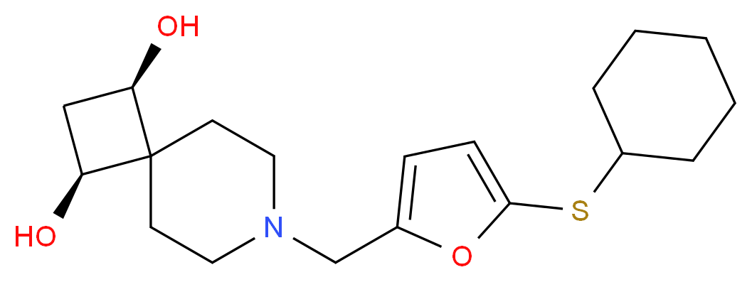  分子结构