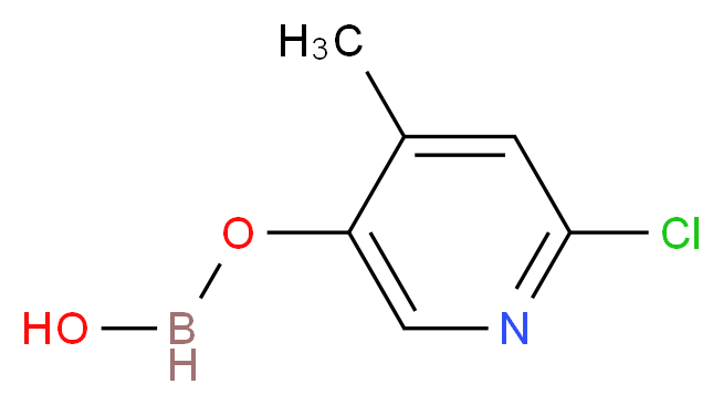 913836-08-5 分子结构