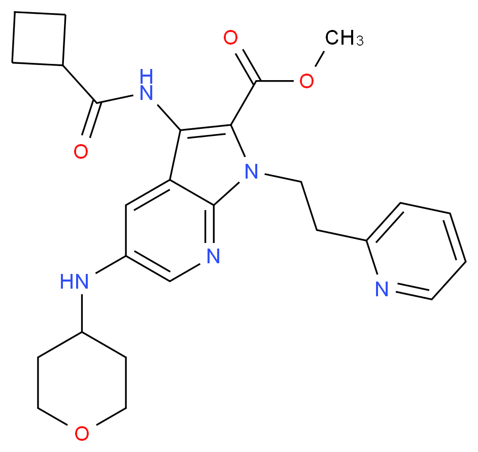  分子结构