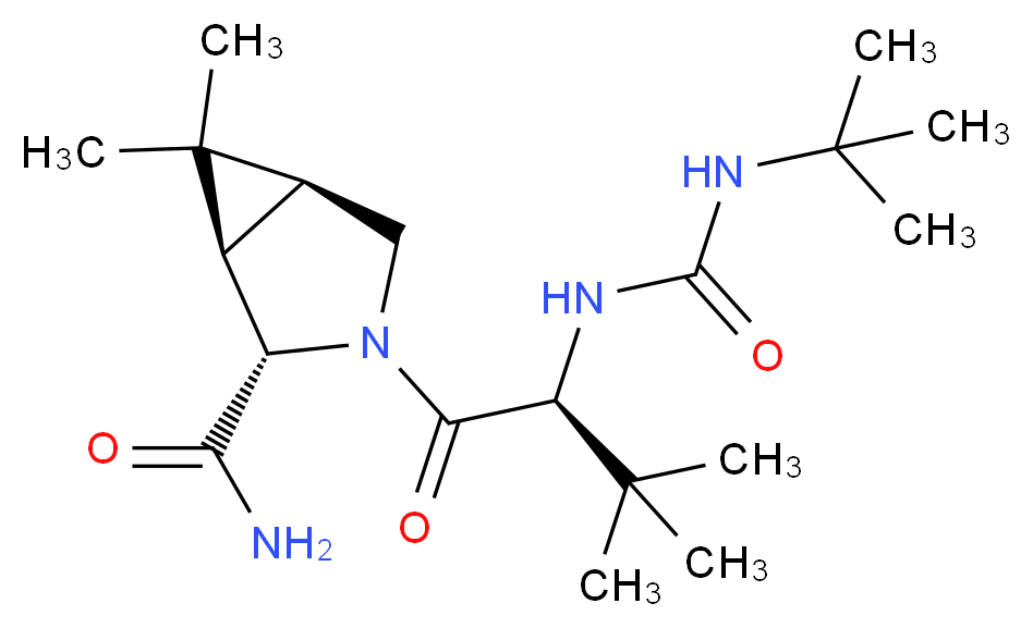 162256801 分子结构