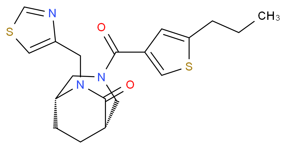  分子结构