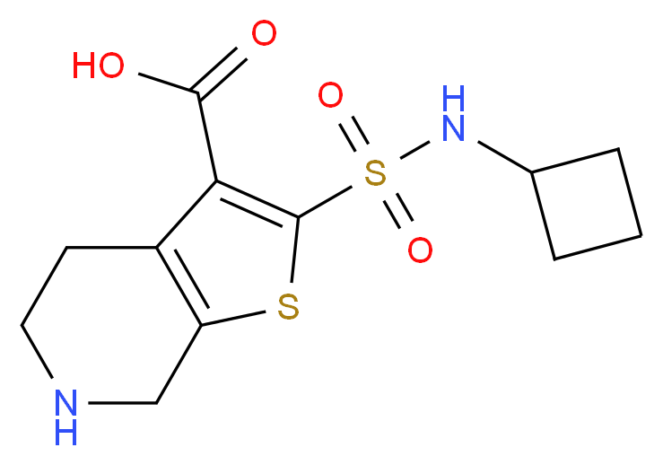  分子结构