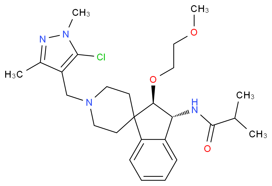  分子结构