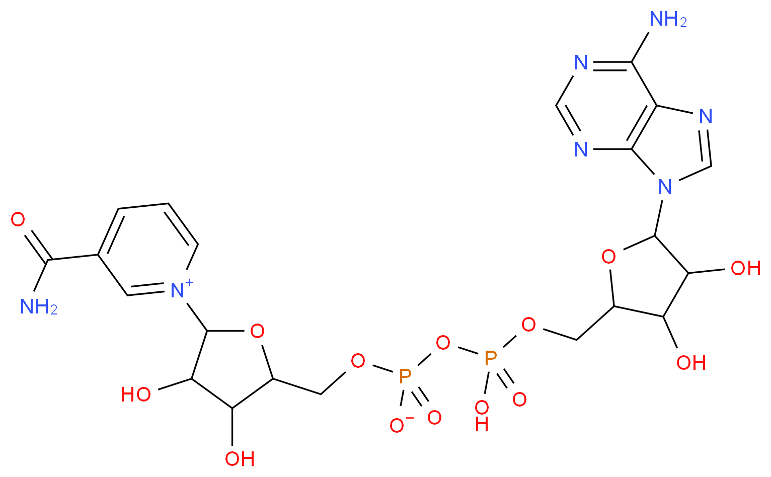 &beta;-NICOTINAMIDE ADENINE DINUCLEOTIDE OXIDIZED FREE ACID_分子结构_CAS_53-84-9)