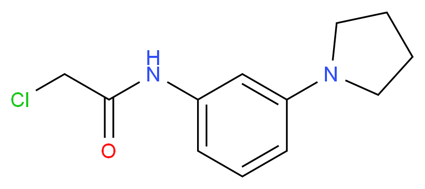 2-chloro-N-[3-(pyrrolidin-1-yl)phenyl]acetamide_分子结构_CAS_915921-99-2