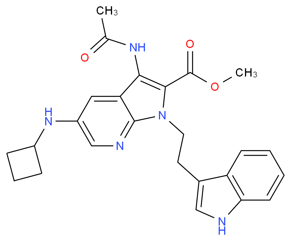 CAS_ 分子结构