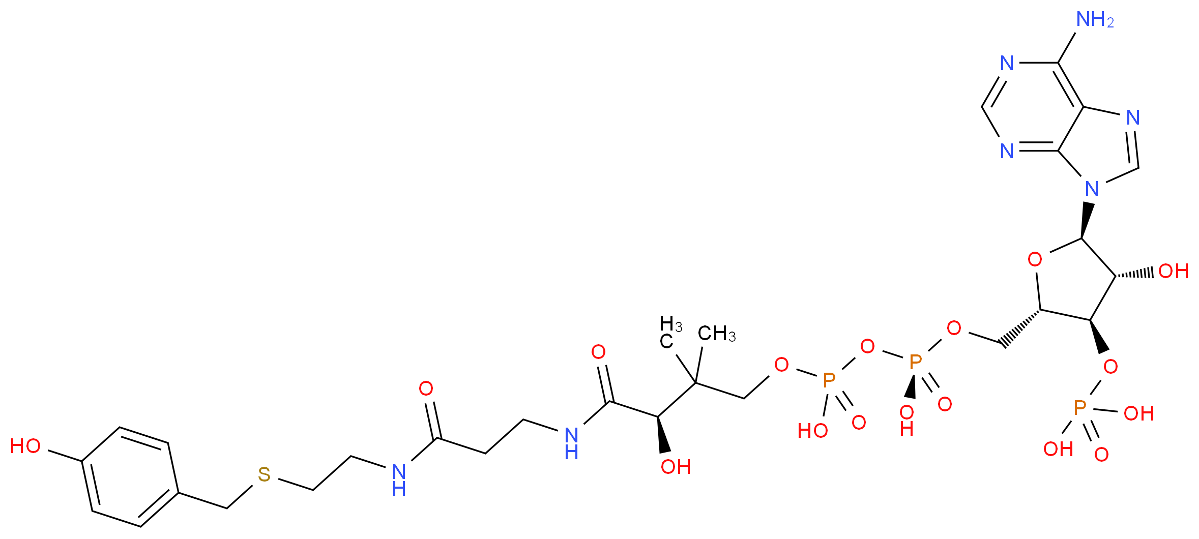 CAS_ 分子结构