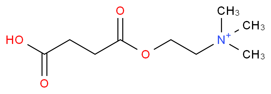 {2-[(3-carboxypropanoyl)oxy]ethyl}trimethylazanium_分子结构_CAS_5518-77-4