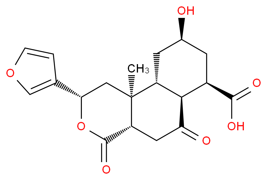CAS_N 分子结构