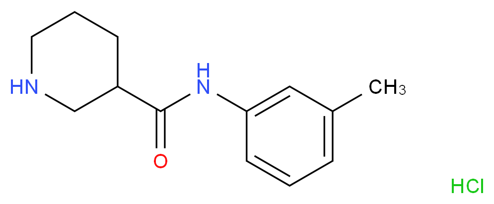 N-(3-Methylphenyl)-3-piperidinecarboxamide hydrochloride_分子结构_CAS_)