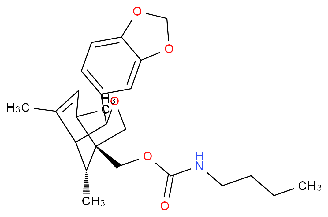 CAS_ 分子结构