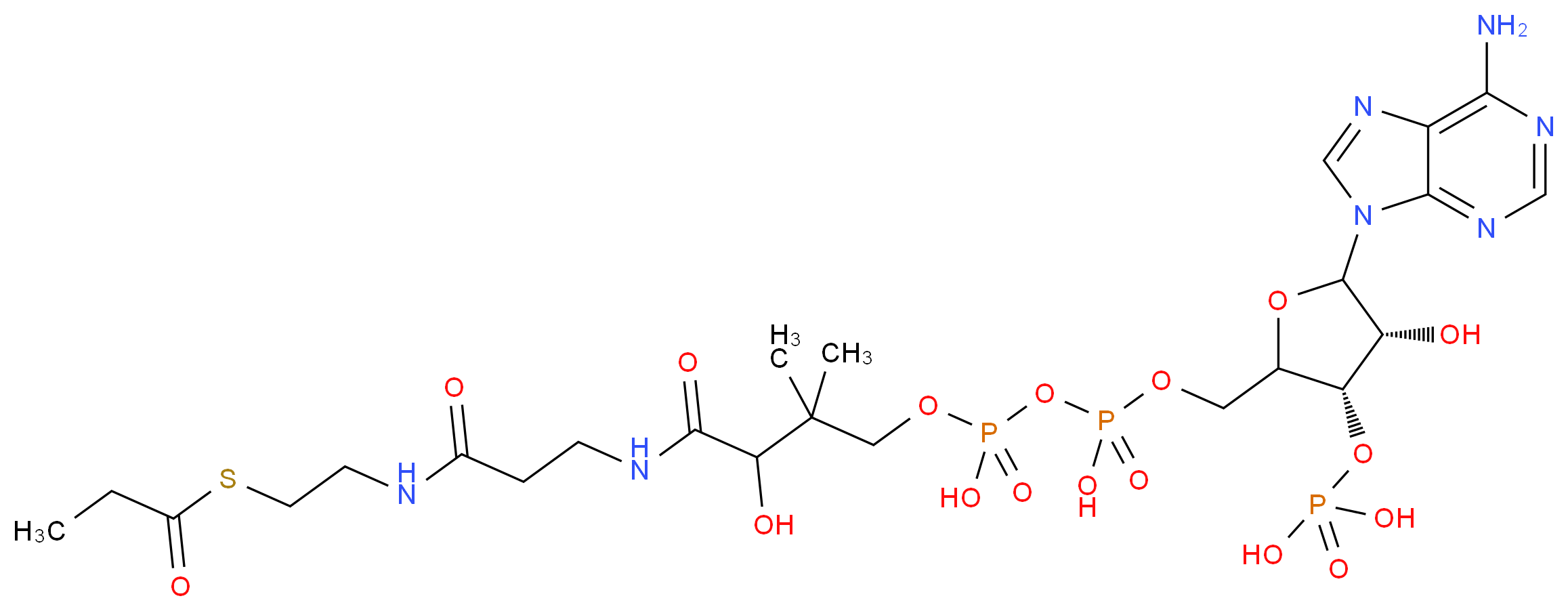 Propionyl-CoA_分子结构_CAS_317-66-8)