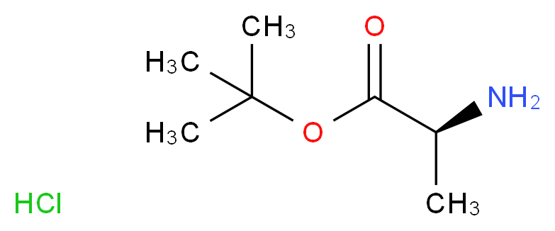 L-丙氨酸叔丁酯 盐酸盐_分子结构_CAS_13404-22-3)