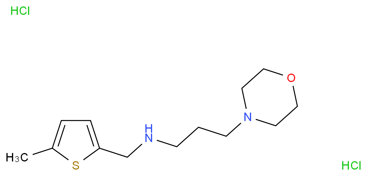 (5-Methyl-thiophen-2-ylmethyl)-(3-morpholin-4-yl-propyl)-amine dihydrochloride_分子结构_CAS_)