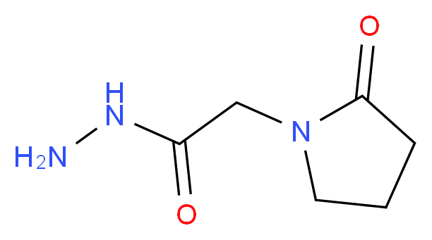 2-(2-oxopyrrolidin-1-yl)acetohydrazide_分子结构_CAS_59776-89-5