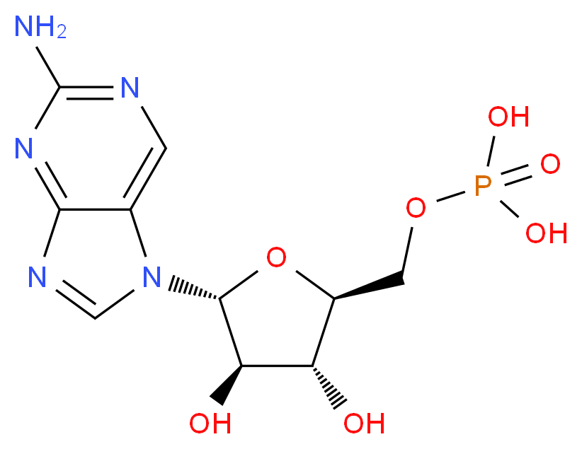 CAS_ 分子结构