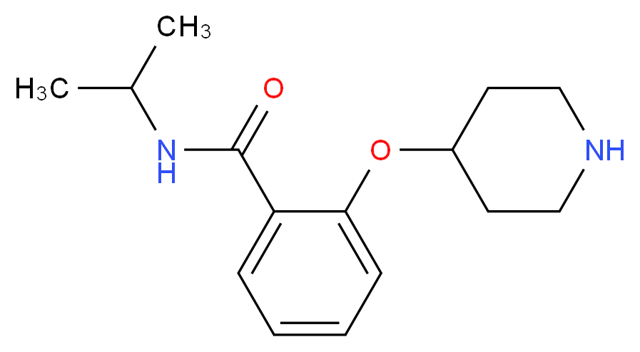 2-(piperidin-4-yloxy)-N-(propan-2-yl)benzamide_分子结构_CAS_902837-04-1