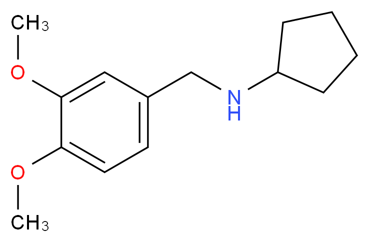 N-[(3,4-dimethoxyphenyl)methyl]cyclopentanamine_分子结构_CAS_356091-42-4