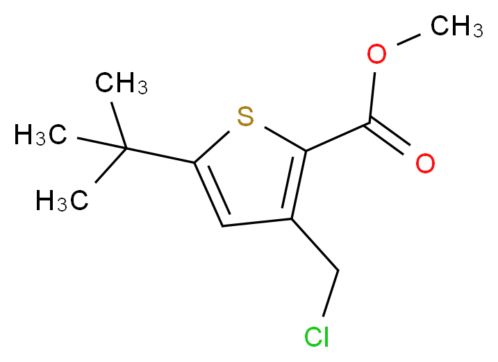 methyl 5-tert-butyl-3-(chloromethyl)thiophene-2-carboxylate_分子结构_CAS_252914-61-7