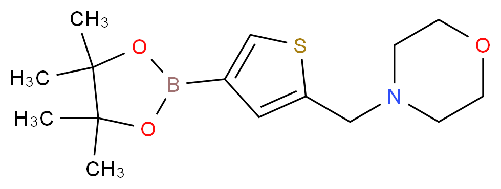 4-{[4-(4,4,5,5-tetramethyl-1,3,2-dioxaborolan-2-yl)thien-2-yl]methyl}morpholine_分子结构_CAS_364794-85-4)