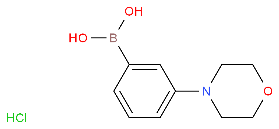 [3-(morpholin-4-yl)phenyl]boronic acid hydrochloride_分子结构_CAS_863248-20-8