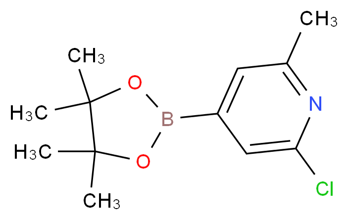 2-Chloro-6-methylpyridine-4-boronic acid, pinacol ester_分子结构_CAS_697739-22-3)