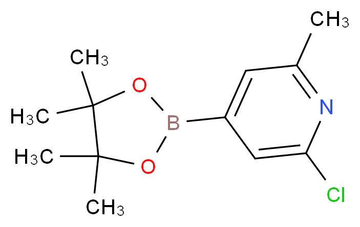 CAS_697739-22-3 molecular structure