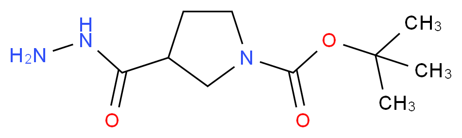 3-Hydrazinocarbonyl-pyrrolidine-1-carboxylic acid tert-butyl ester_分子结构_CAS_411238-88-5)