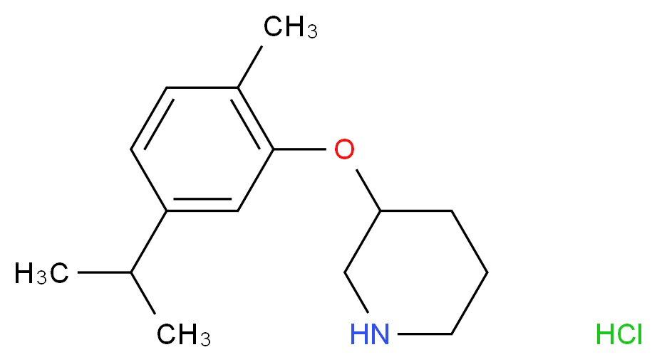 3-(5-Isopropyl-2-methylphenoxy)piperidine hydrochloride_分子结构_CAS_)