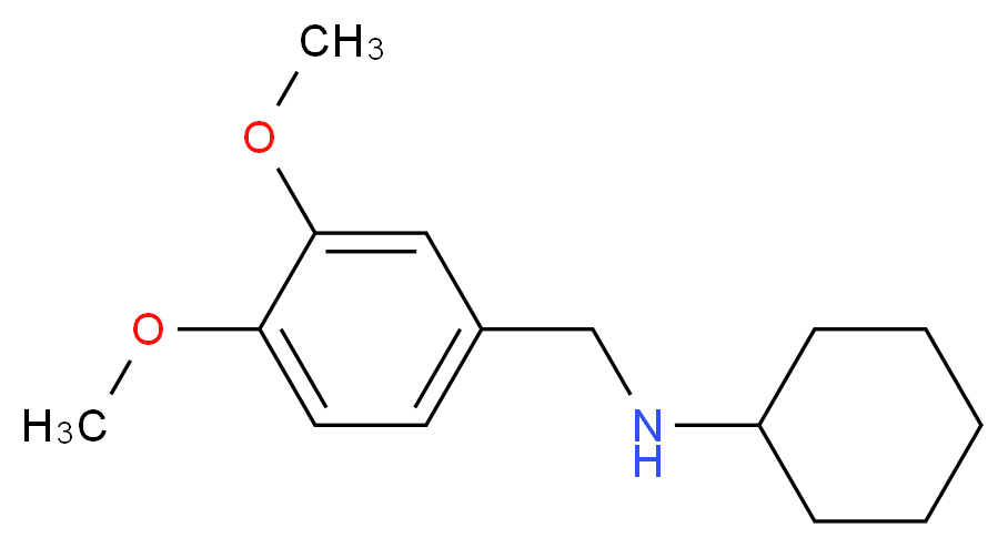 N-[(3,4-dimethoxyphenyl)methyl]cyclohexanamine_分子结构_CAS_227017-88-1