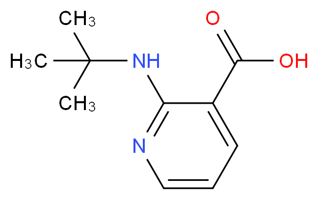 2-(tert-Butylamino)nicotinic acid_分子结构_CAS_460044-25-1)