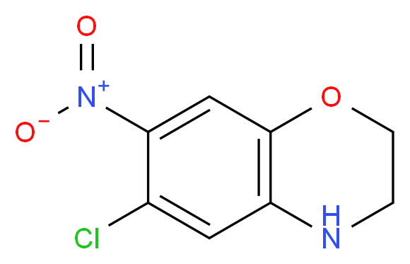 6-Chloro-7-nitro-3,4-dihydro-2H-1,4-benzoxazine_分子结构_CAS_1198475-26-1)