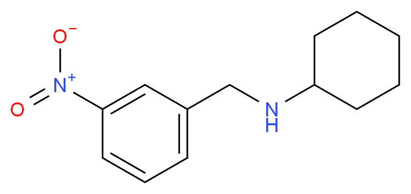 N-[(3-nitrophenyl)methyl]cyclohexanamine_分子结构_CAS_59507-50-5