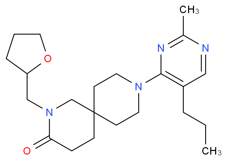  分子结构