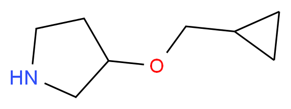 3-(Cyclopropylmethoxy)pyrrolidine_分子结构_CAS_932702-41-5)