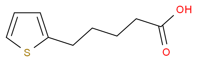 5-(thiophen-2-yl)pentanoic acid_分子结构_CAS_21010-06-0