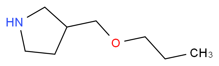 3-(propoxymethyl)pyrrolidine_分子结构_CAS_946716-05-8