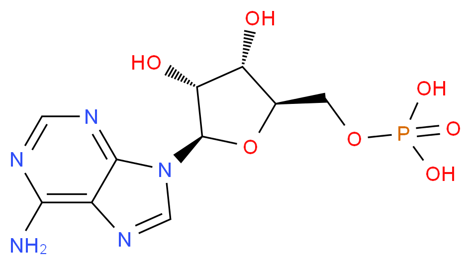 61-19-8 分子结构