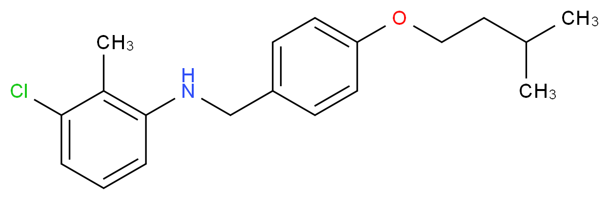 3-Chloro-N-[4-(isopentyloxy)benzyl]-2-methylaniline_分子结构_CAS_)