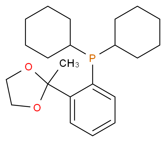 dicyclohexyl[2-(2-methyl-1,3-dioxolan-2-yl)phenyl]phosphane_分子结构_CAS_221187-50-4