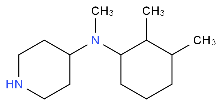 N-(2,3-dimethylcyclohexyl)-N-methylpiperidin-4-amine_分子结构_CAS_1186644-90-5