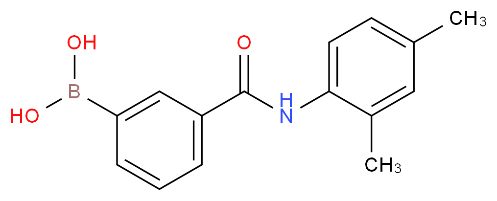 3-(2,4-二甲基苯基氨甲酰基)苯硼酸_分子结构_CAS_957060-98-9)