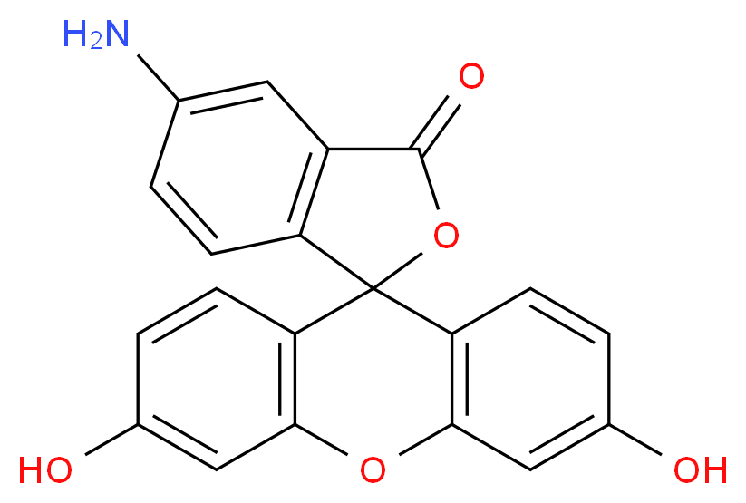 5-amino-3',6'-dihydroxy-3H-spiro[2-benzofuran-1,9'-xanthene]-3-one_分子结构_CAS_3326-34-9