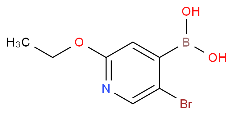 5-BROMO-2-ETHOXYPYRIDINE-4-BORONIC ACID_分子结构_CAS_612845-46-2)