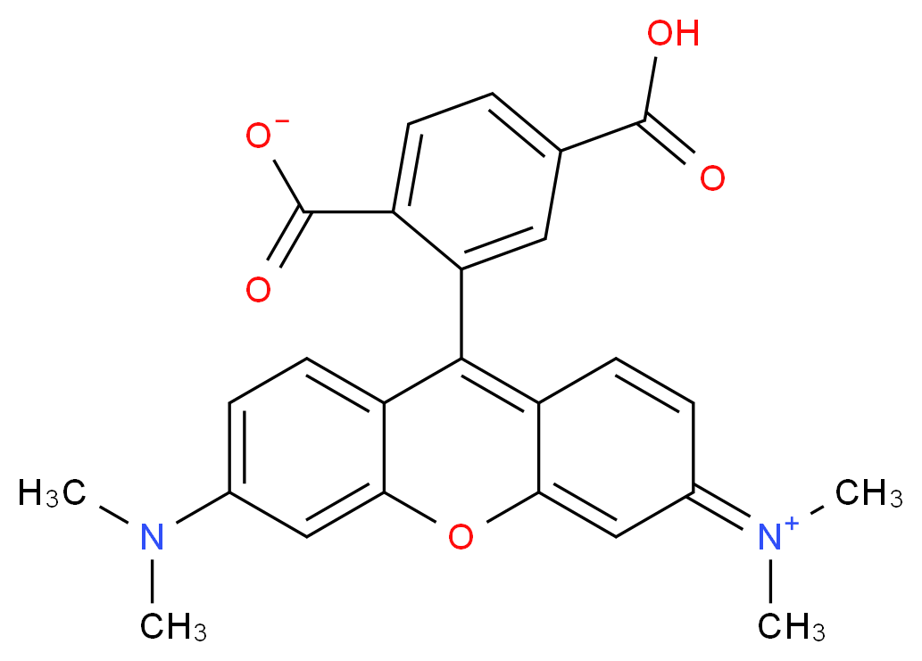 4-carboxy-2-[6-(dimethylamino)-3-(dimethyliminiumyl)-3H-xanthen-9-yl]benzoate_分子结构_CAS_91809-67-5
