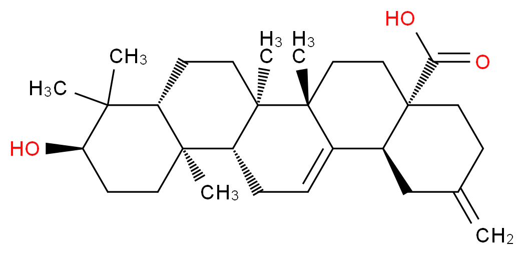 (4aS,6aS,6bR,8aR,10R,12aR,12bR,14bS)-10-hydroxy-6a,6b,9,9,12a-pentamethyl-2-methylidene-1,2,3,4,4a,5,6,6a,6b,7,8,8a,9,10,11,12,12a,12b,13,14b-icosahydropicene-4a-carboxylic acid_分子结构_CAS_104777-61-9