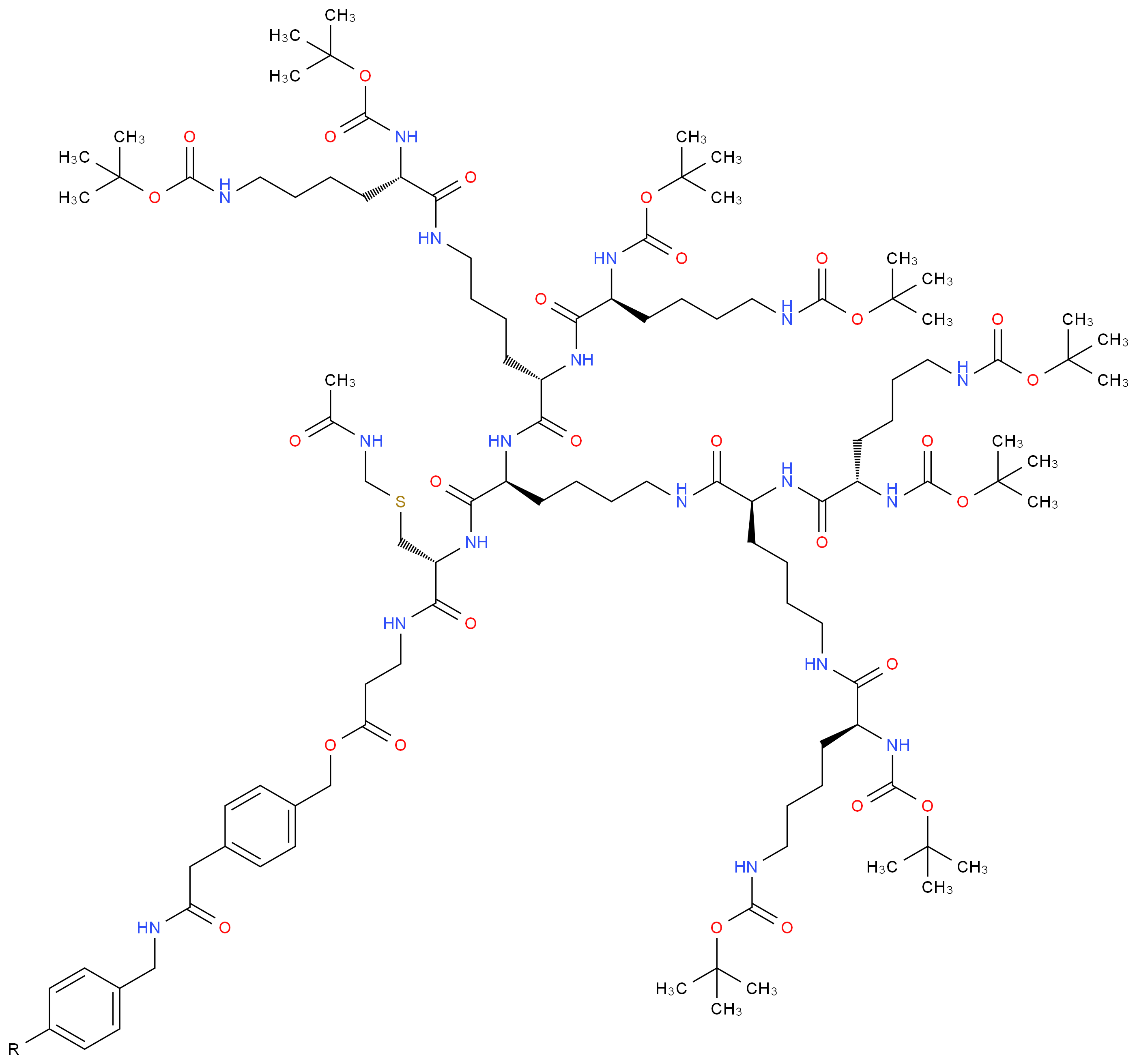 CAS_ 分子结构